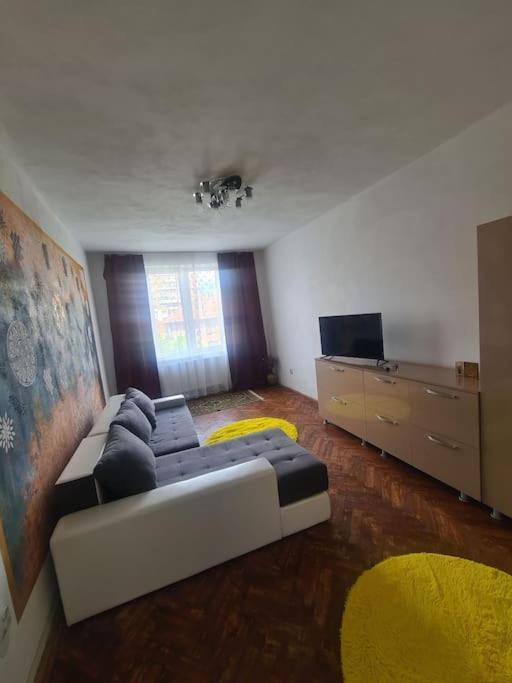 Mural Art Apartament Petroşani Eksteriør billede